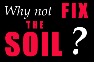 Why not fix the soil?