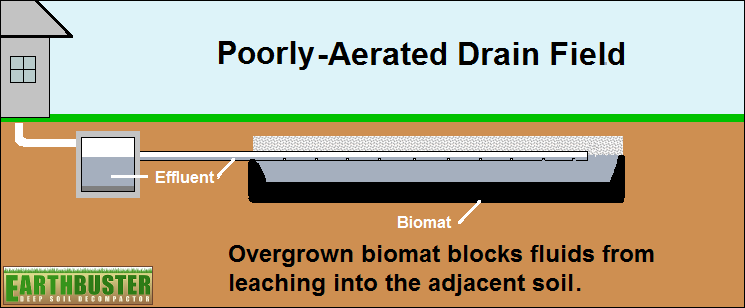 Poorly-Aerated Drain Field