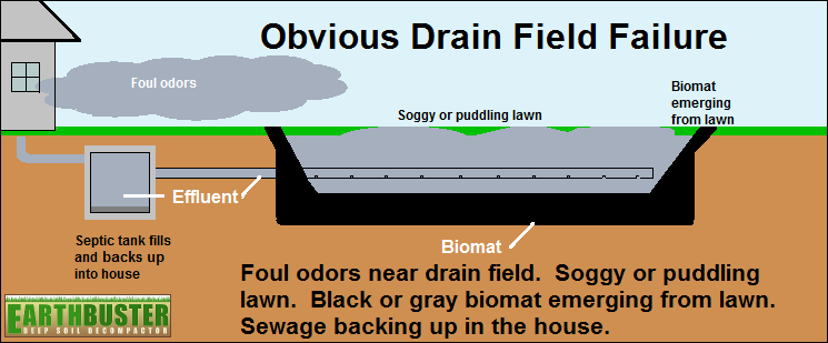 Obvious drain field failure